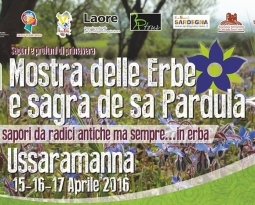32 ° of shows and festival of the “pardula”