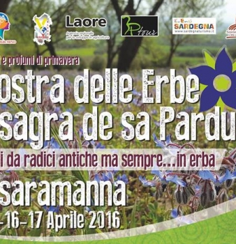 32^ Mostra delle erbe e sagra de sa Pardula di Ussaramanna