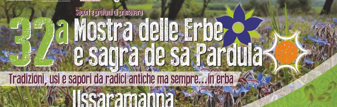 32^ Mostra delle erbe e sagra de sa Pardula di Ussaramanna