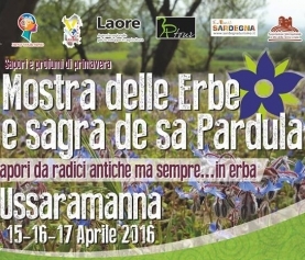 32 ° of shows and festival of the “pardula”